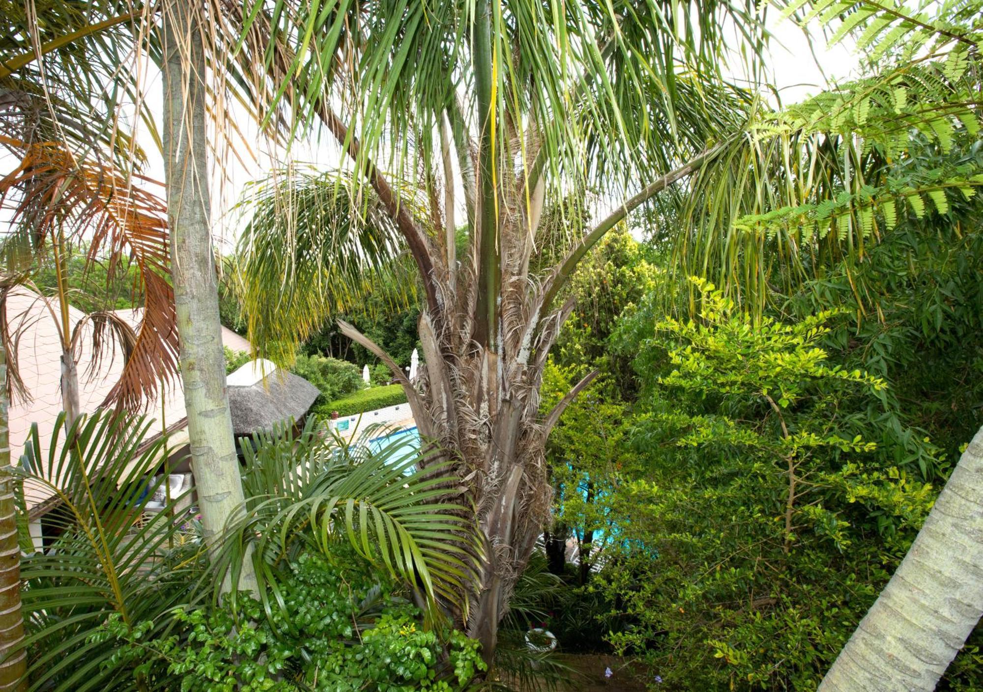 Hazelwood House Hotell Stellenbosch Eksteriør bilde